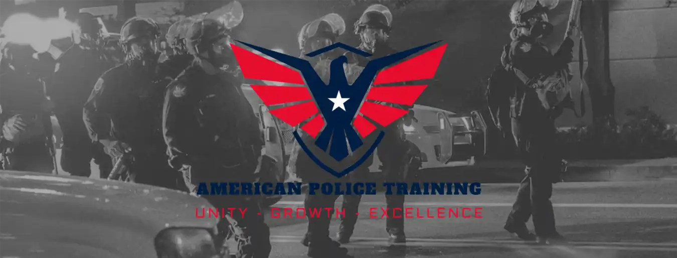 Enhancing Law Enforcement Efficiency: The Revolution of American Police Training