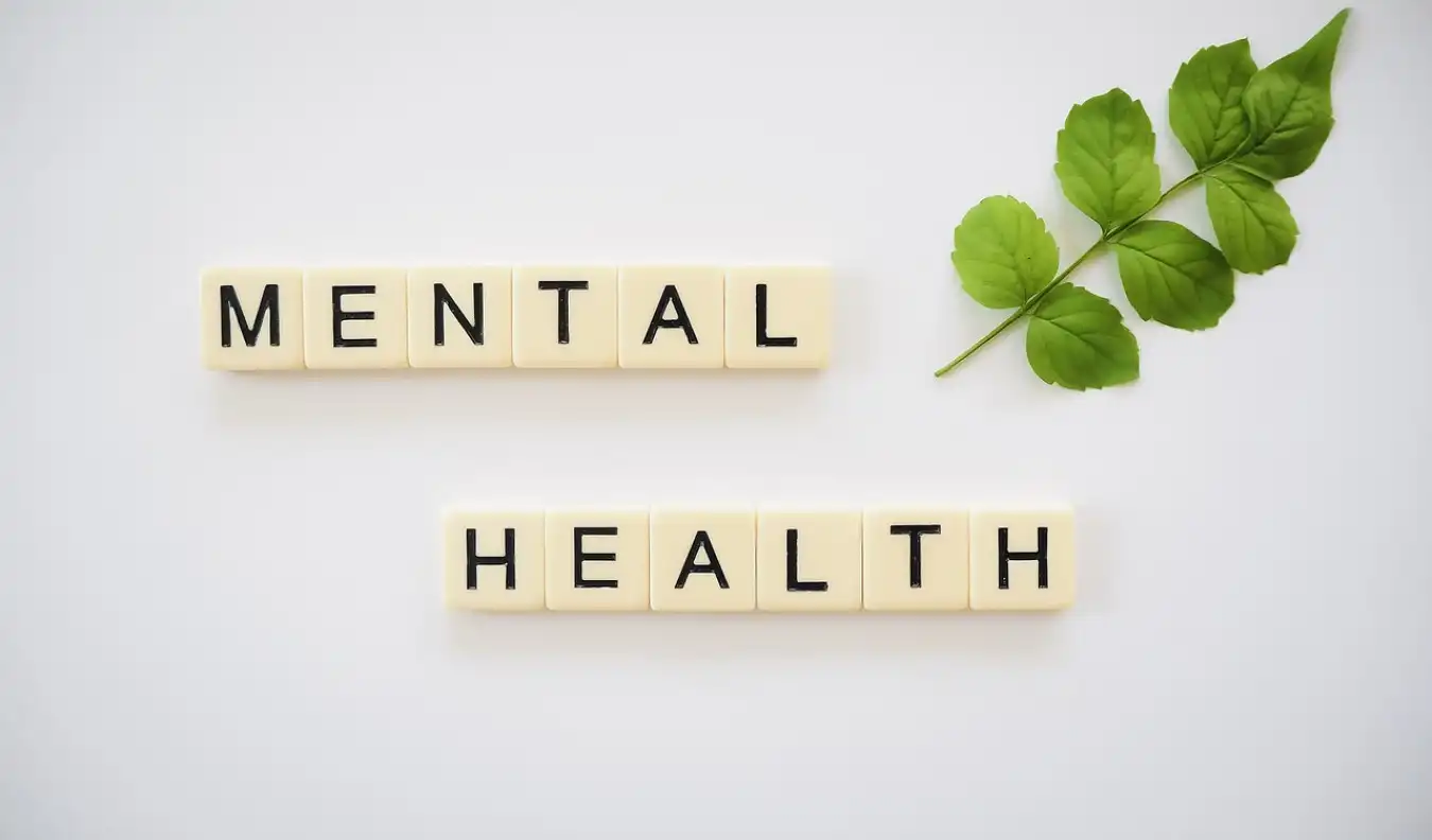 The Role of Mental Health in Effective Law Enforcement