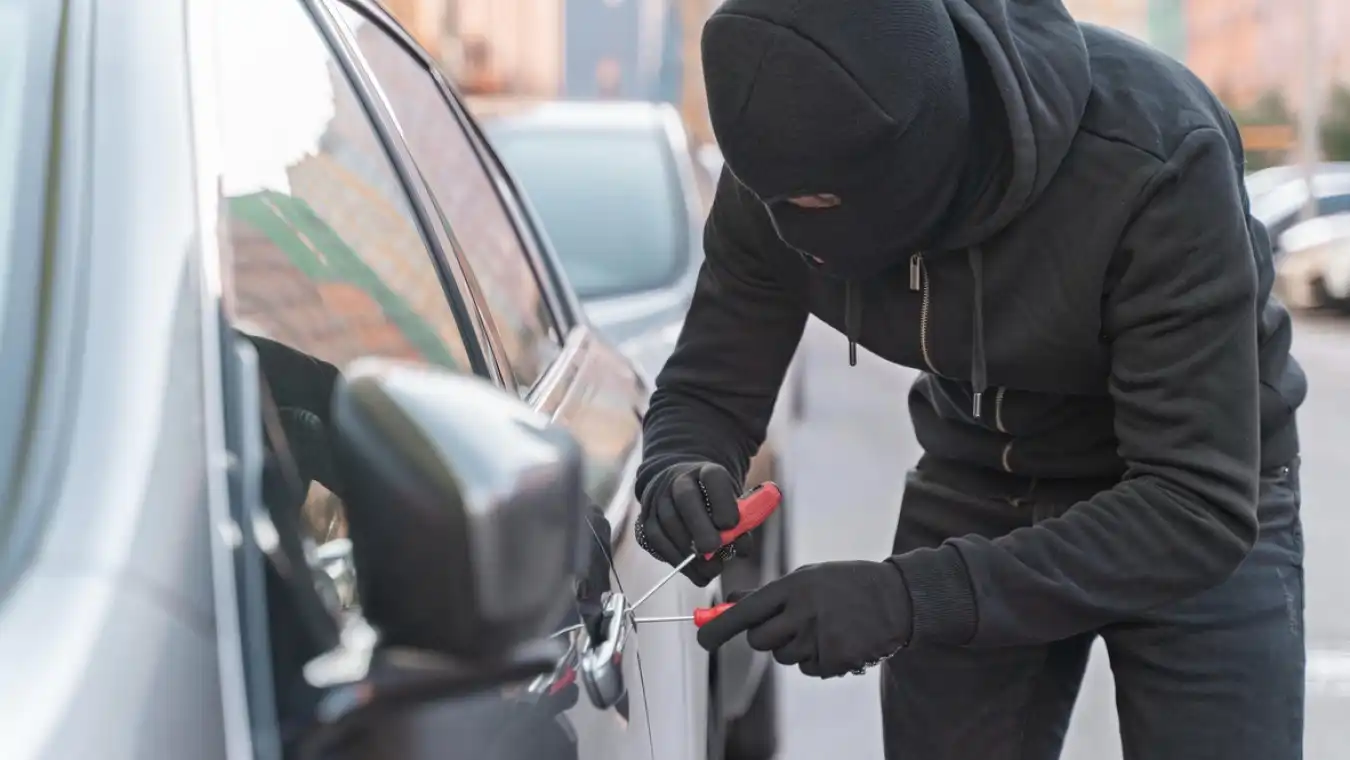 Texas Department of Public Safety | Basic Auto Theft For Patrol